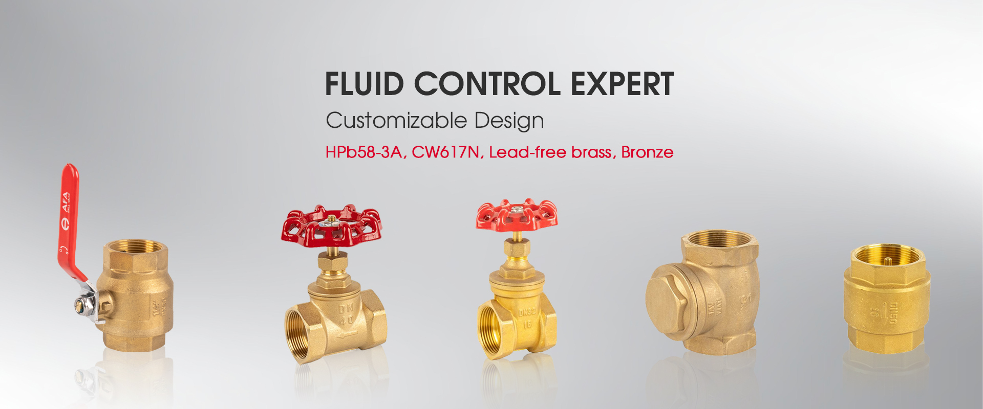 China Brass Check Valve